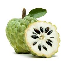 Custard Apple